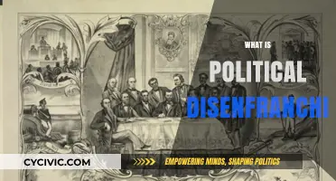 Understanding Political Disenfranchisement: Causes, Impact, and Solutions Explained