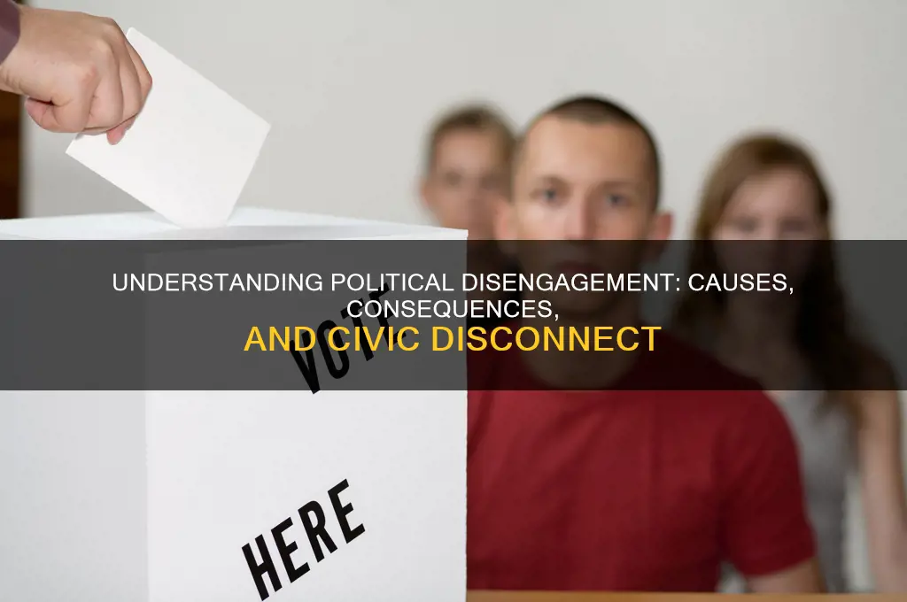 what is political disengagement