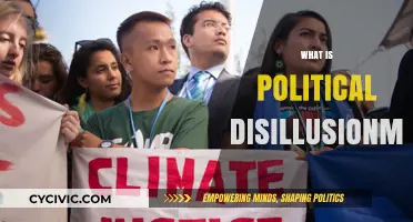 Understanding Political Disillusionment: Causes, Effects, and Societal Implications