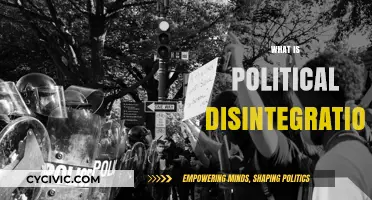 Understanding Political Disintegration: Causes, Consequences, and Global Implications