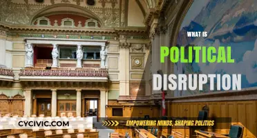 Understanding Political Disruption: Causes, Impacts, and Global Transformations