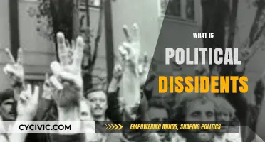 Understanding Political Dissidents: Voices of Dissent and Resistance Explained