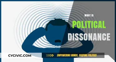 Understanding Political Dissonance: Causes, Effects, and Resolving Conflicting Ideologies
