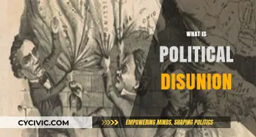 Understanding Political Disunion: Causes, Consequences, and Pathways to Unity