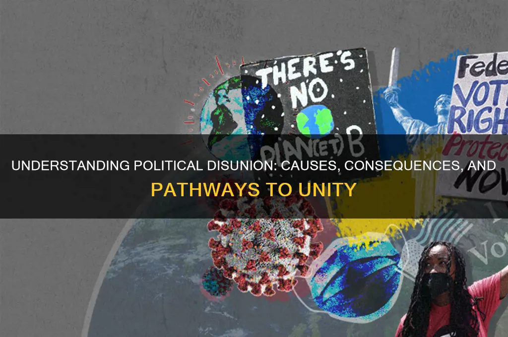 what is political disunion