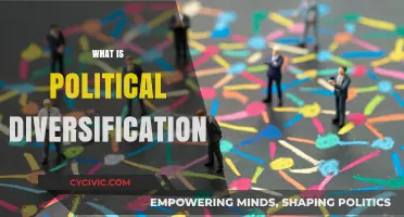 Understanding Political Diversification: Strategies for Balanced Governance and Stability