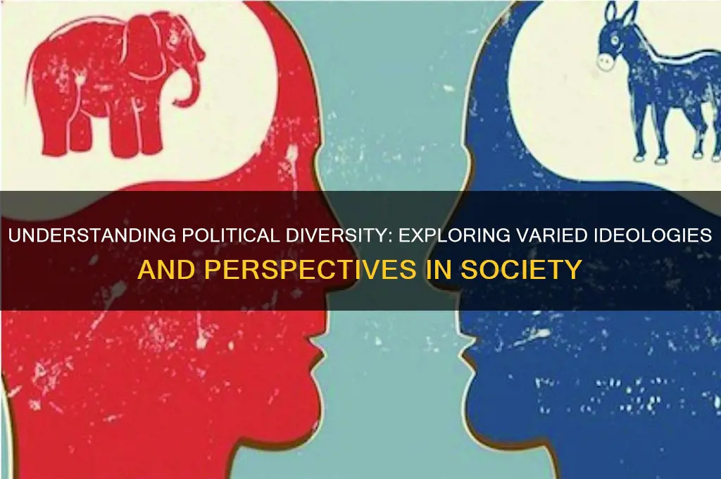 what is political diversity