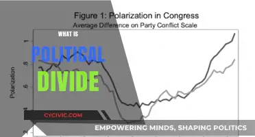 Understanding the Political Divide: Causes, Impacts, and Bridging the Gap