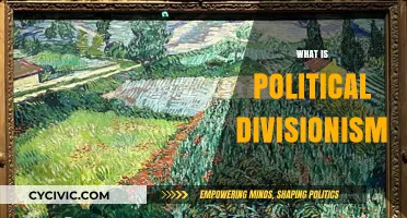 Understanding Political Divisionism: Causes, Impacts, and Solutions Explained