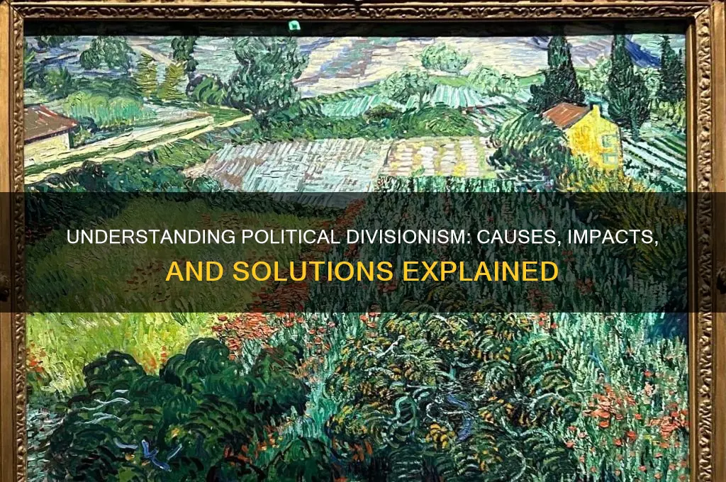 what is political divisionism