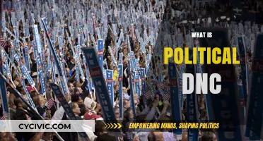 Understanding the Political DNC: Functions, Impact, and Role in Democracy