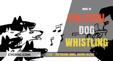 Decoding Political Dog Whistling: Hidden Messages and Their Impact