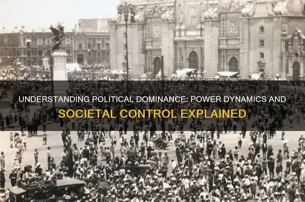 what is political dominance
