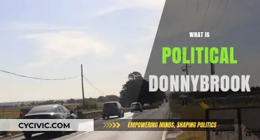 Understanding the Chaotic Political Donnybrook: Origins, Impact, and Examples