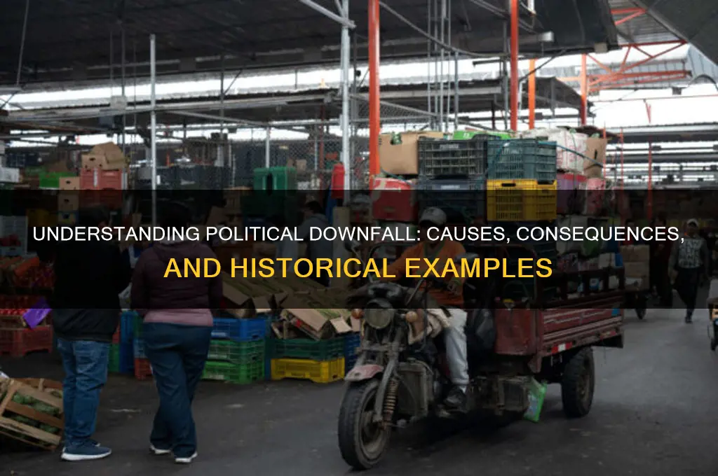 what is political downfal