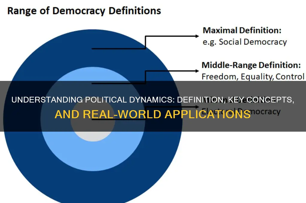 what is political dynamics definition