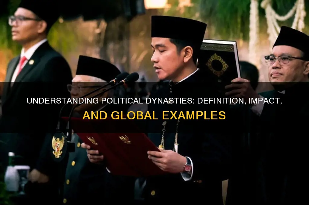 what is political dynasty definition