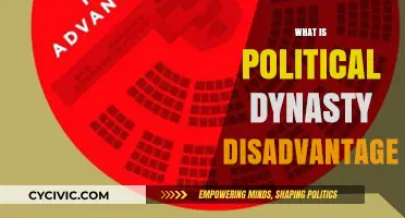 The Hidden Costs of Political Dynasties: Disadvantages Explored