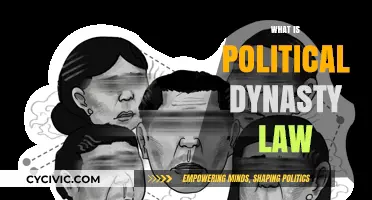 Understanding Political Dynasty Law: Definition, Impact, and Global Perspectives