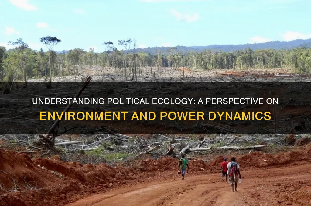 what is political ecology perspective
