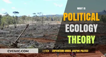 Understanding Political Ecology: Theory, Practice, and Environmental Justice Insights