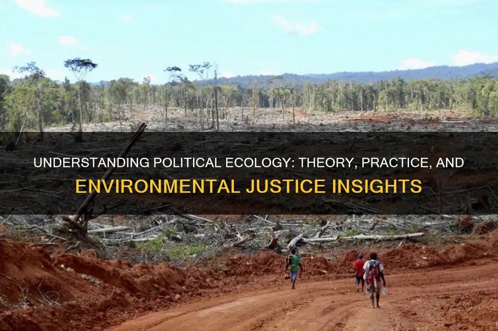 what is political ecology theory