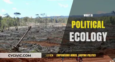 Understanding Political Ecology: Power, Nature, and Society's Interconnected Dynamics
