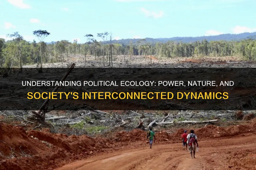 what is political ecology
