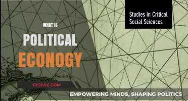 Understanding Political Economy: Power, Resources, and Societal Structures Explained