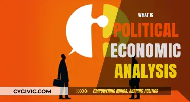 Understanding Political Economic Analysis: Power, Policy, and Market Dynamics