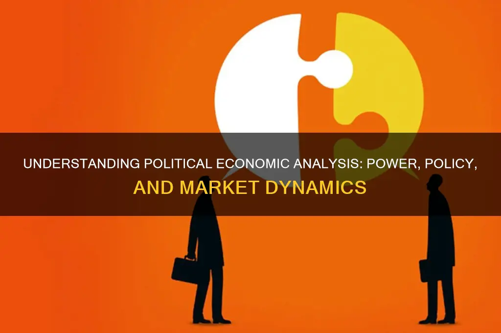 what is political economic analysis