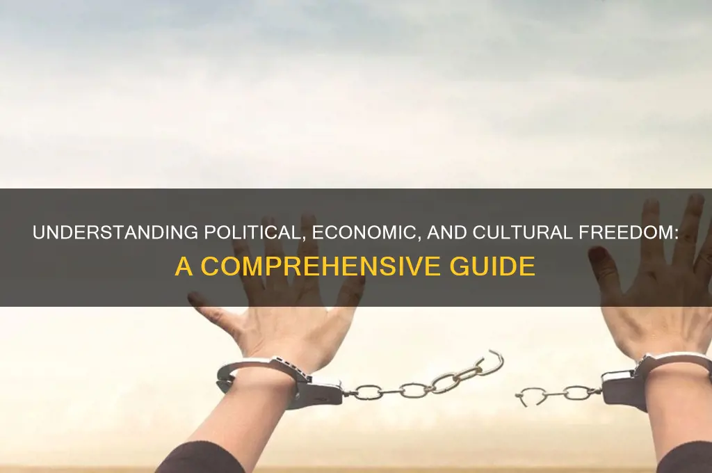 what is political economic andculturalfreedom