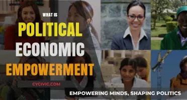 Understanding Political Economic Empowerment: Strategies for Inclusive Growth and Equity