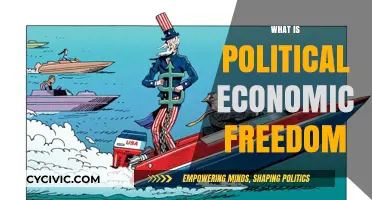 Understanding Political Economic Freedom: Principles, Impact, and Global Perspectives