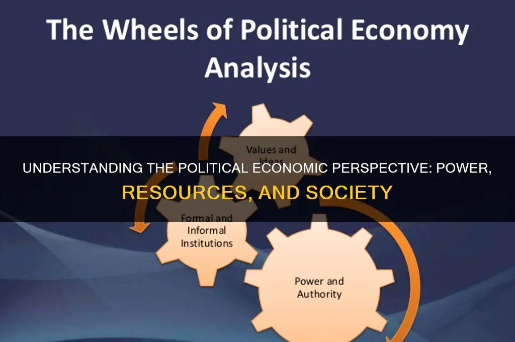 what is political economic perspective