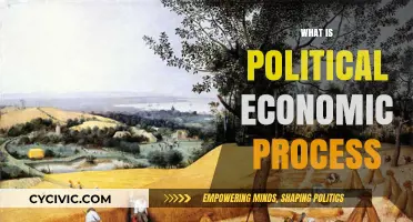 Understanding the Political Economic Process: Power, Policy, and Market Dynamics