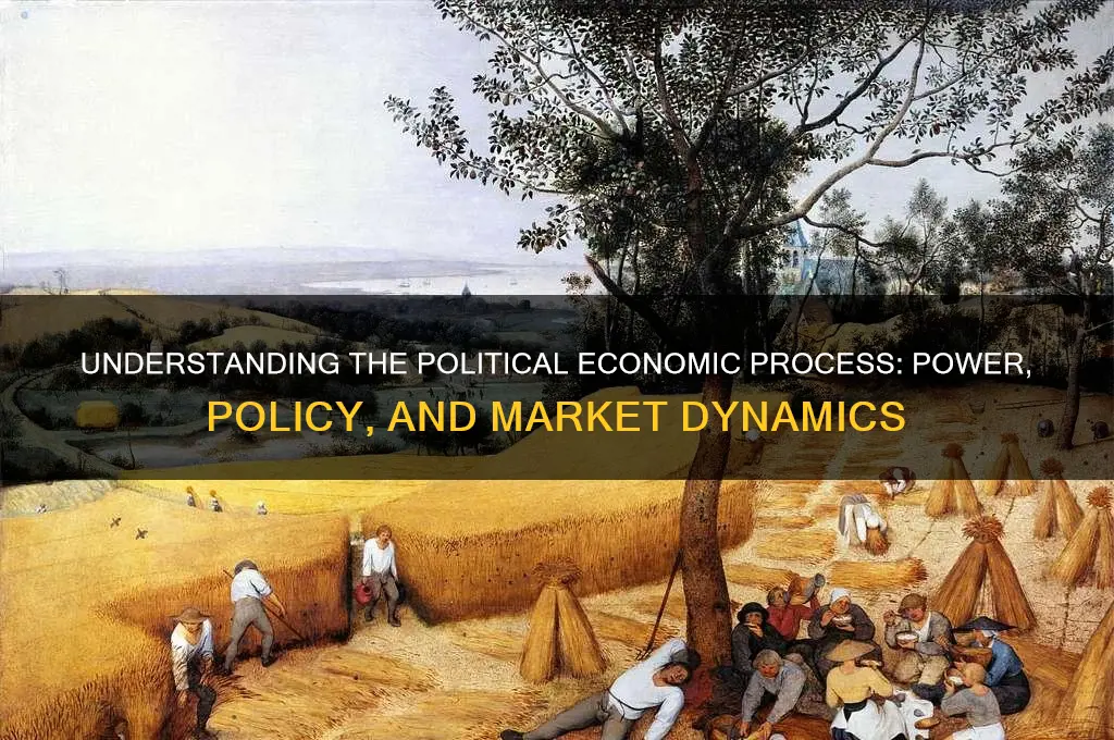 what is political economic process