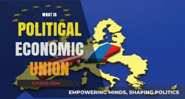 Understanding Political Economic Union: Benefits, Challenges, and Global Impact