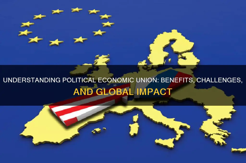 what is political economic union