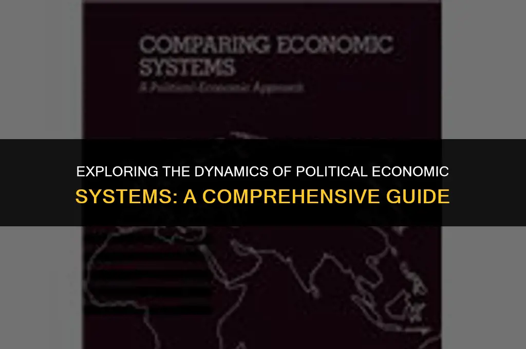 what is political economics system