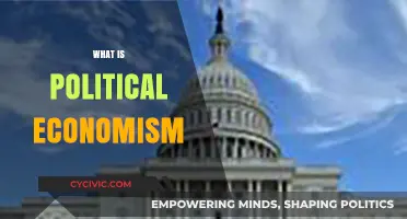 Understanding Political Economism: Power, Resources, and Societal Structures Explained
