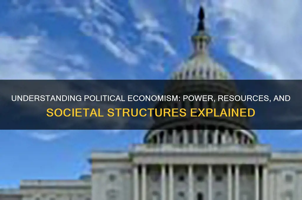 what is political economism