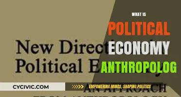 Exploring Political Economy Anthropology: Power, Culture, and Economic Systems