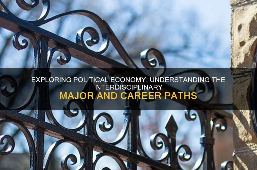 what is political economy major