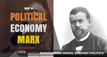 Understanding Marx's Political Economy: A Comprehensive Analysis and Overview