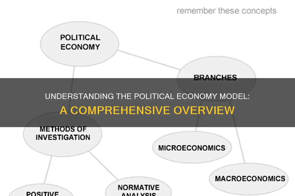 what is political economy model