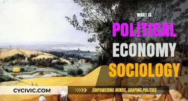 Understanding Political Economy Sociology: Power, Resources, and Social Structures