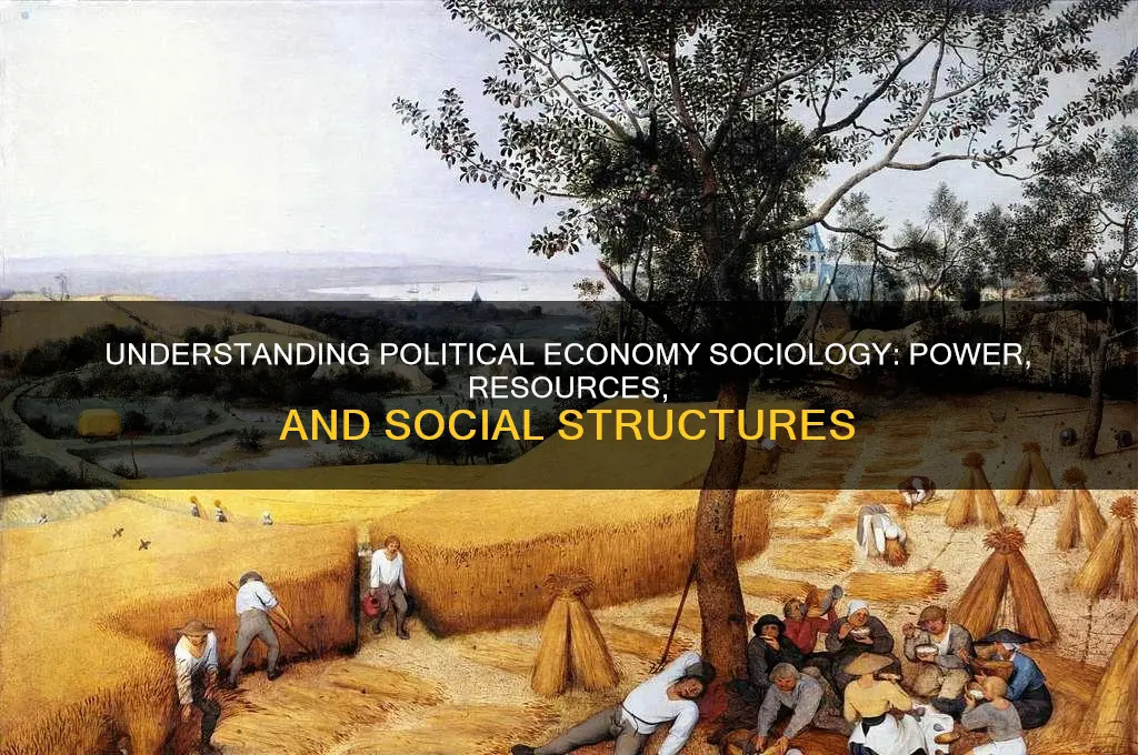 what is political economy sociology