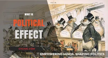 Understanding the Impact: What is Political Effect and Why It Matters