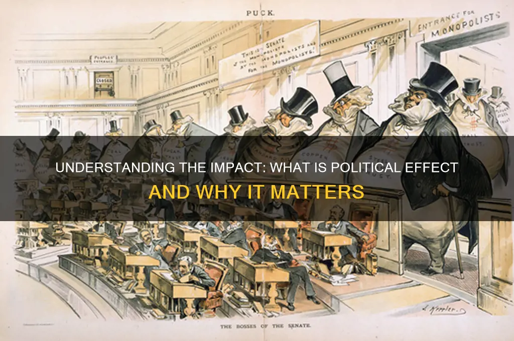 what is political effect